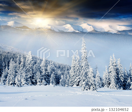 Winter 132104652