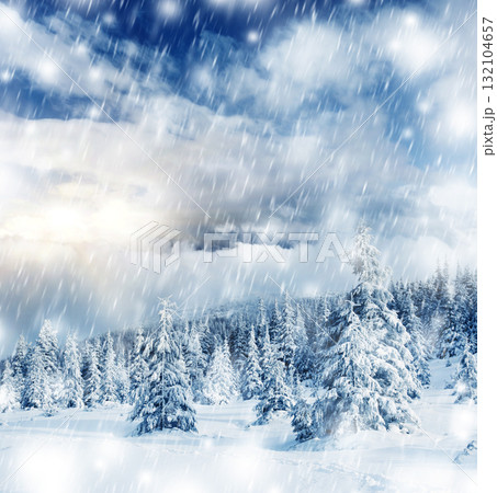 Winter 132104657