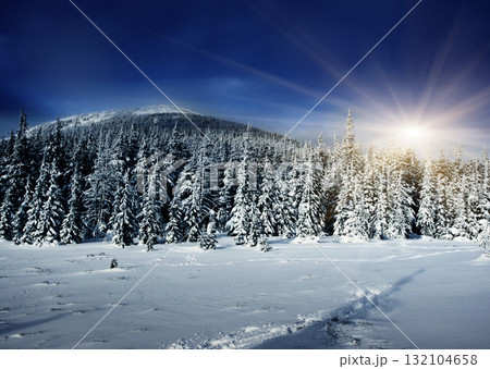 Winter Winter 132104658