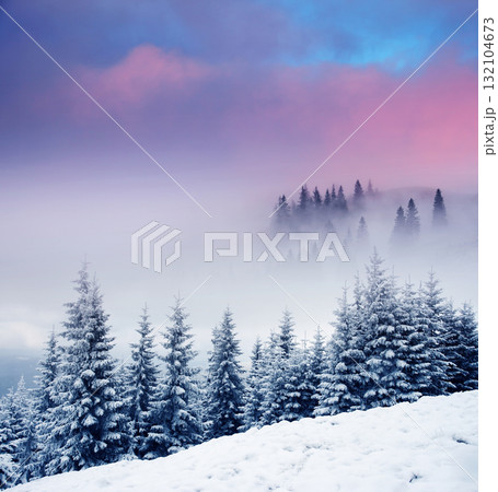 Winter Winter 132104673