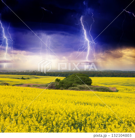 storm storm 132104803