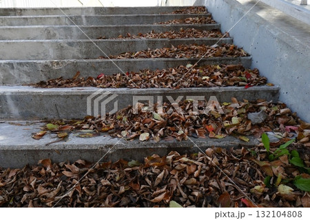 Concrete stairs covered with autumn leaves 132104808