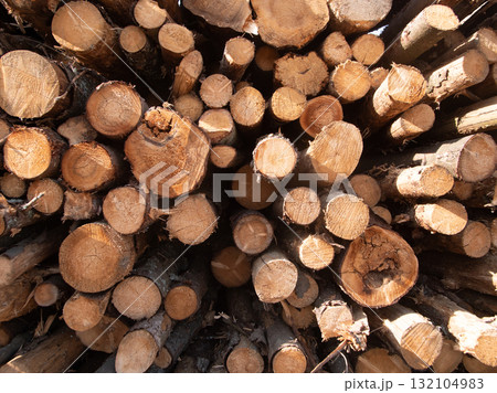 radial log ends forming dark tunnel of concentric circles and deep shadows, strong graphic composition with repeating texture and depth, ideal for abstract, background and editorial use 132104983