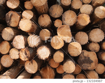 raw sawn timber for carpentry showing clean cuts and stacked lengths, workshop and material supply implications, perfect for joinery, construction and small business craft imagery raw sawn timber for carpentry showing clean cuts and stacked lengths, workshop and material supply implications, perfect for joinery, construction and small business craft imagery 132104987