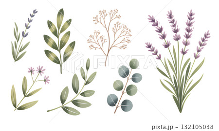 手描き風ラベンダーと植物グリーンセット 132105038