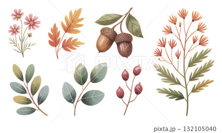 手描き風 秋の花とドングリのセット 132105040