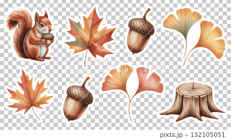 リスとどんぐりと秋の葉 132105051