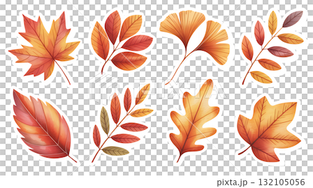 Autumn leaves collection | Maple, Ginkgo, Oak 132105056