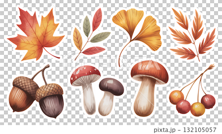 秋季森林元素集：蘑菇、橡實、落葉 132105057