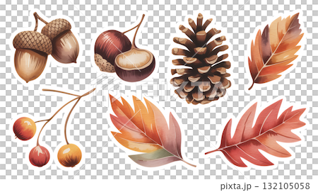 Autumn Nature Collection | Acorns, Chestnuts, and Pine Cones 132105058