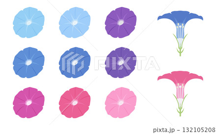 カラフルな朝顔と花の断面のイラスト素材セット 132105208