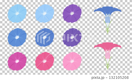 カラフルな朝顔と花の断面のイラスト素材セット 132105208