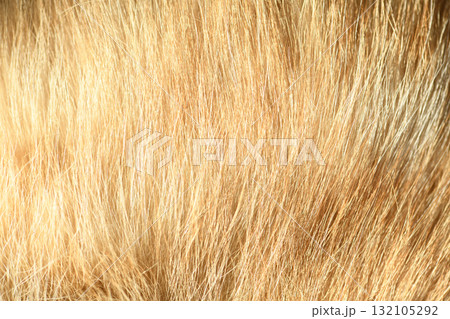 Red animal fur. Orange abstract fur background. Red animal fur. Orange abstract fur background. 132105292