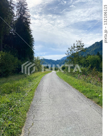 Trail Between Green Meadows with Forest in the Background 132106115
