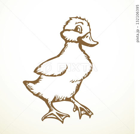 Cute duckling. Vector outline drawing 132106395
