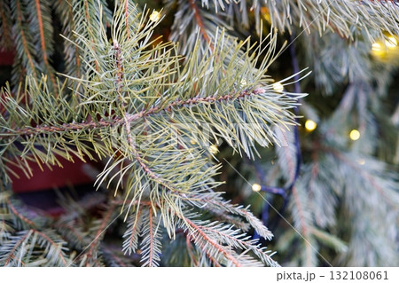 Close-up view of evergreen branches adorned with decorative lights during the holiday season 132108061