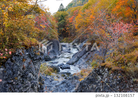 秋の滝上町の風景 132108157