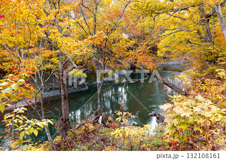 秋の滝上町の風景 秋の滝上町の風景 132108161