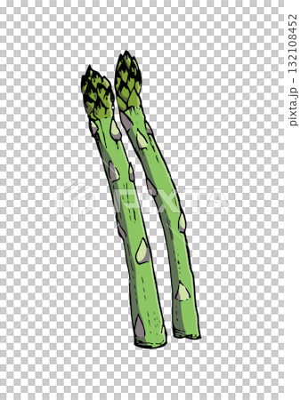 Asparagus illustration color 132108452