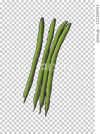 Green bean illustration color 132108453