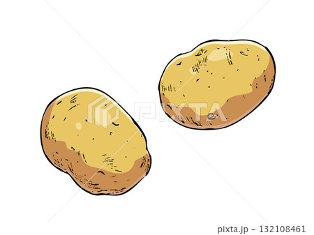 じゃがいも　イラスト　カラー 132108461