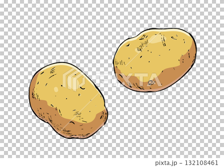 じゃがいも　イラスト　カラー 132108461