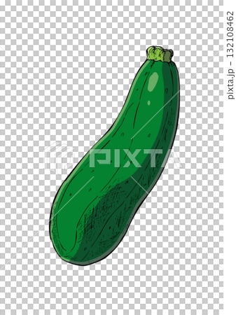 西葫蘆插圖顏色 132108462