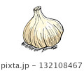 にんにく　イラスト　カラー 132108467