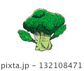 ブロッコリー　イラスト　カラー 132108471