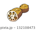 れんこん　イラスト　カラー 132108473