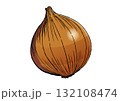 玉ねぎ　イラスト　カラー 132108474