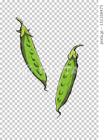 絹さや イラスト カラー 絹さや イラスト カラー 132108475