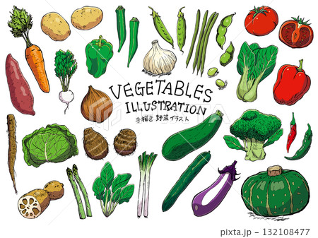 手描き 野菜線画セット イラスト カラー 手描き 野菜線画セット イラスト カラー 132108477