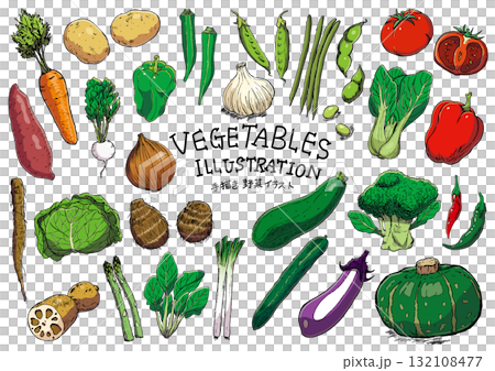 手描き 野菜線画セット イラスト カラー 手描き 野菜線画セット イラスト カラー 132108477