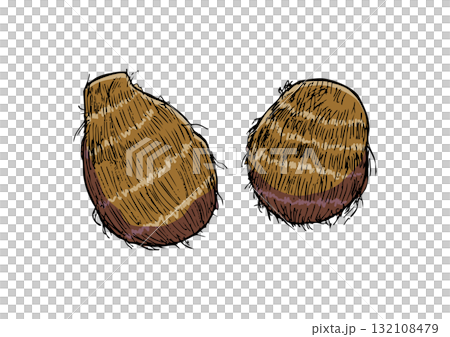 Taro illustration color 132108479