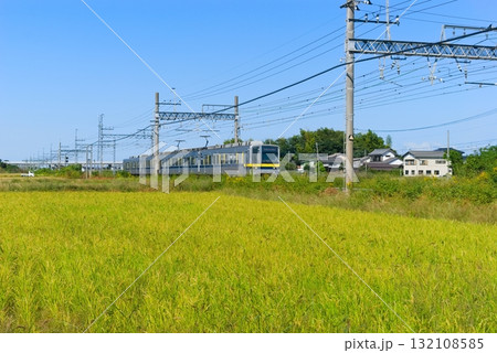 埼玉県加須市渡良瀬遊水地周辺2025年10月 132108585
