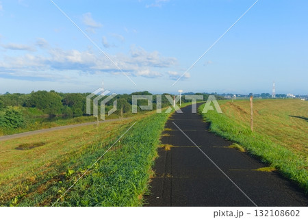 江戸川サイクリングロード左岸2025年10月 江戸川サイクリングロード左岸2025年10月 132108602