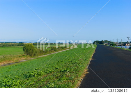 江戸川サイクリングロード左岸2025年10月 132108615