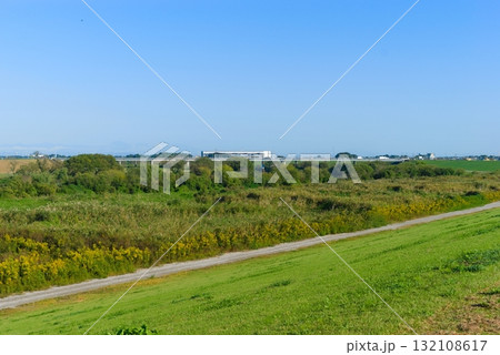 江戸川サイクリングロード左岸2025年10月 江戸川サイクリングロード左岸2025年10月 132108617