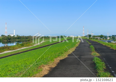 江戸川サイクリングロード左岸2025年10月 132108621