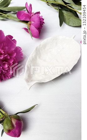 anemones flowers on white background anemones flowers on white background 132109454