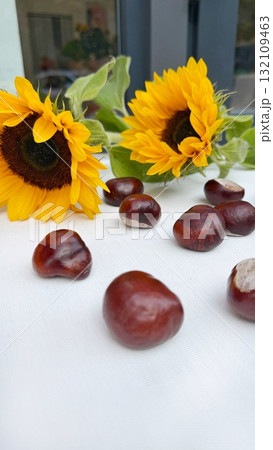 a bouquet of different varieties of sunflowers a bouquet of different varieties of sunflowers 132109463