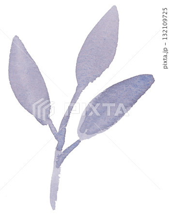 手描きのの葉のイラスト（透明水彩） 132109725