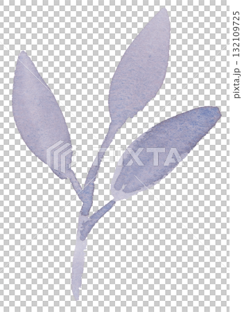 手描きのの葉のイラスト（透明水彩） 132109725