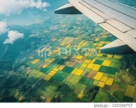 Aerial View Of Agricultural Fields With Airplane Wing And Patchwork Pattern Under Blue Sky 132109757