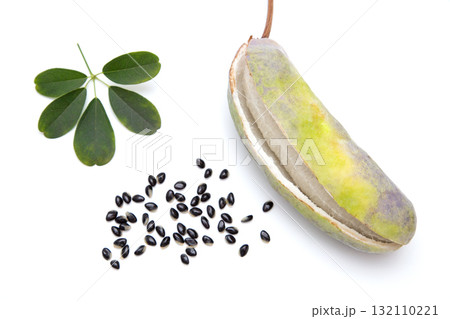 ゴヨウアケビ（五葉アケビ）の葉と果実と種 132110221