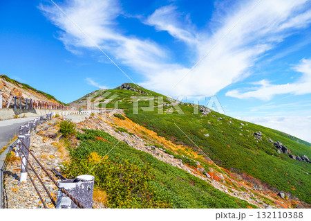 乗鞍エコーライン沿いの紅葉(2025) 乗鞍エコーライン沿いの紅葉(2025) 132110388