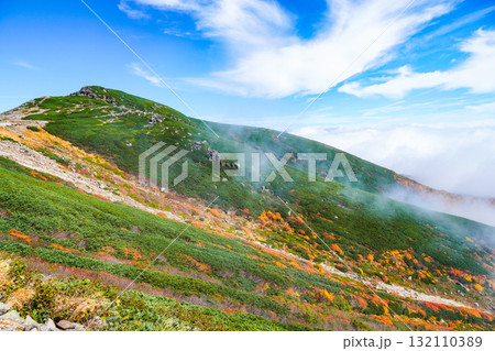 乗鞍エコーライン沿いの紅葉(2025) 乗鞍エコーライン沿いの紅葉(2025) 132110389