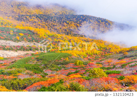 ガスに覆われる乗鞍エコーライン沿いの紅葉（2025） 132110423