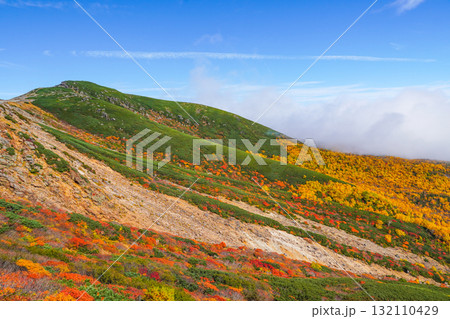 乗鞍エコーライン沿いの紅葉（2025） 132110429